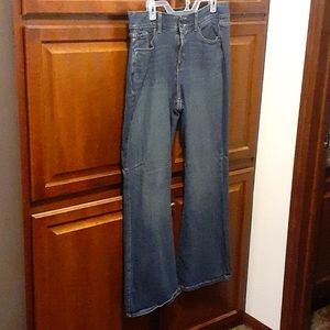 Lane Bryant Flare Jeans Size 16 Regular